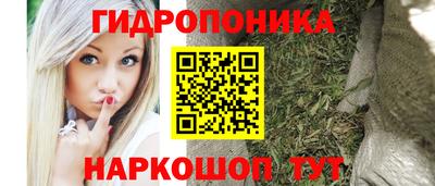 индика Северобайкальск