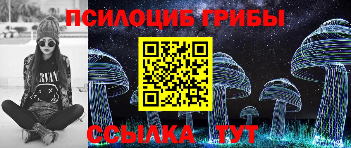 Реж  Псилоцибиновые грибы мухоморы  Вход с VPN 